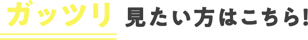 ガッツリ 見たい方はこちら！