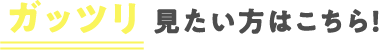 ガッツリ 見たい方はこちら！