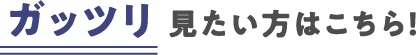 ガッツリ 見たい方はこちら！