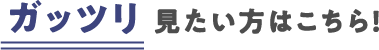 ガッツリ見たい方はこちら！